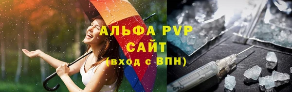 индика Аркадак