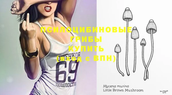 ешки Арсеньев