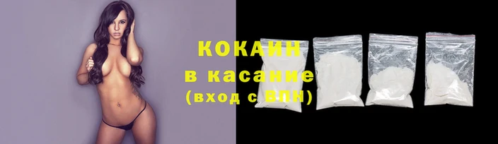 индика Аркадак