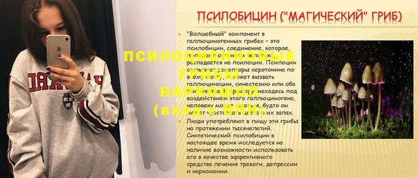 мдпв Армянск