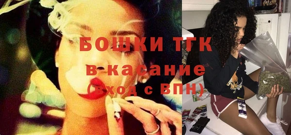 индика Аркадак