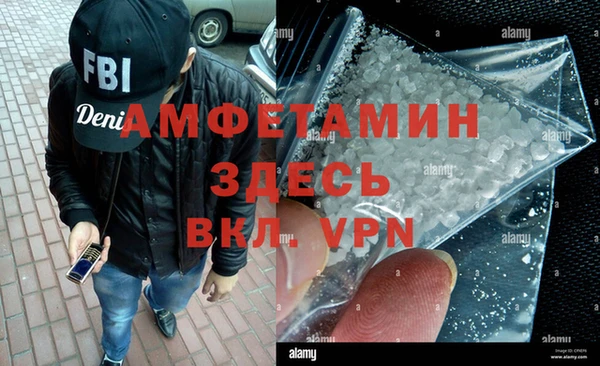 индика Аркадак