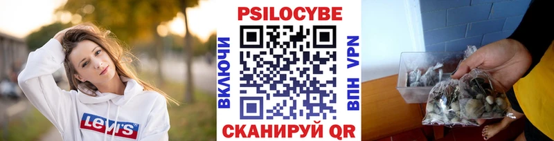 блэк спрут как войти  Биробиджан  Галлюциногенные грибы MAGIC MUSHROOMS 